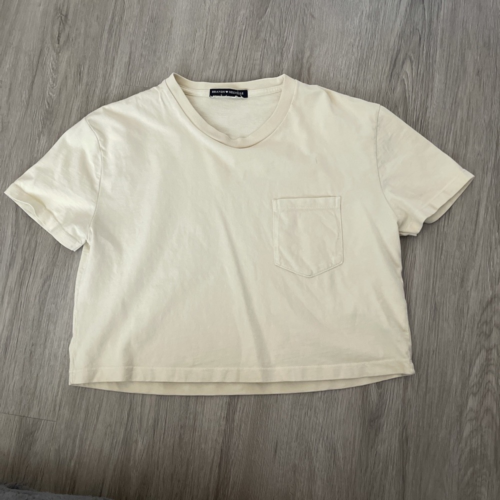 Brandy Melville crop top